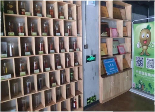 數(shù)字經(jīng)濟(jì)展示 獼猴桃網(wǎng)平臺建設(shè)項(xiàng)目