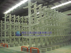 陜西西安倉儲貨架與懸臂貨架全解析 價(jià)格、型號規(guī)格及網(wǎng)絡(luò)資源概覽