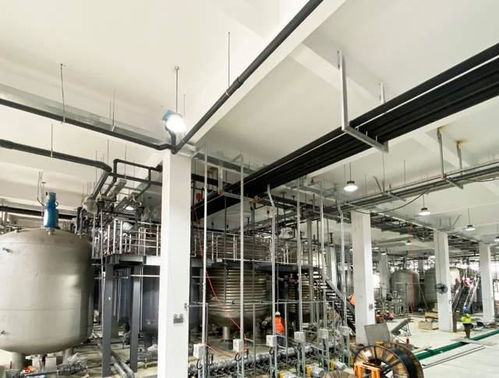 科學(xué)家發(fā)現(xiàn)衰老逆轉(zhuǎn)關(guān)鍵分子，富人圈爭相追捧，市場規(guī)?；蜻_(dá)300億