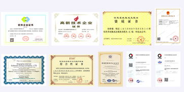 上海互聯(lián)網(wǎng)軟件集團 高端協(xié)同管理軟件與教育咨詢服務的專業(yè)提供者